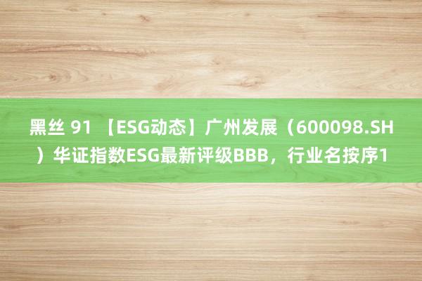 黑丝 91 【ESG动态】广州发展（600098.SH）华证指数ESG最新评级BBB，行业名按序1