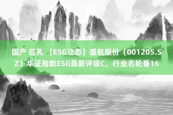 国产 巨乳 【ESG动态】盛航股份（001205.SZ）华证指数ESG最新评级C，行业名轮番16