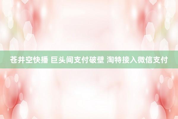 苍井空快播 巨头间支付破壁 淘特接入微信支付