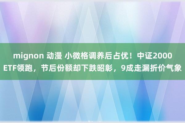 mignon 动漫 小微格调养后占优！中证2000ETF领跑，节后份额却下跌昭彰，9成走漏折价气象