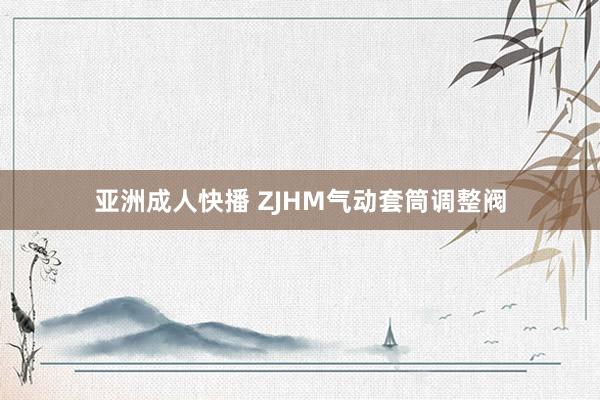 亚洲成人快播 ZJHM气动套筒调整阀