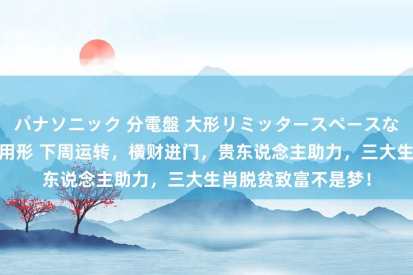 パナソニック 分電盤 大形リミッタースペースなし 露出・半埋込両用形 下周运转，横财进门，贵东说念主助力，三大生肖脱贫致富不是梦！