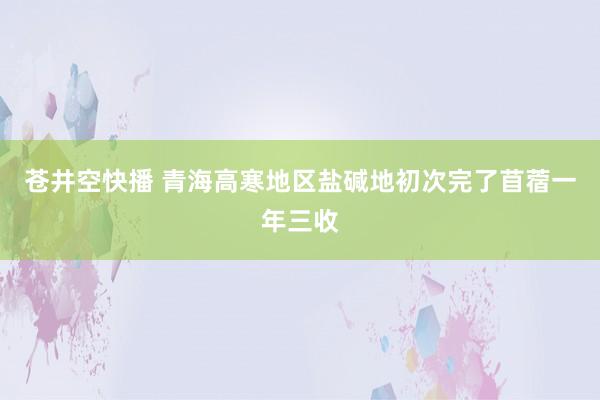 苍井空快播 青海高寒地区盐碱地初次完了苜蓿一年三收