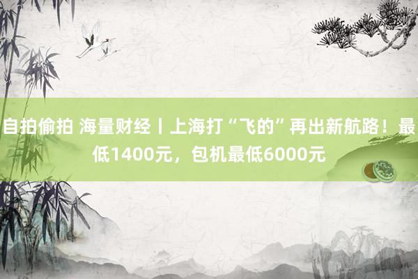 自拍偷拍 海量财经丨上海打“飞的”再出新航路！最低1400元，包机最低6000元