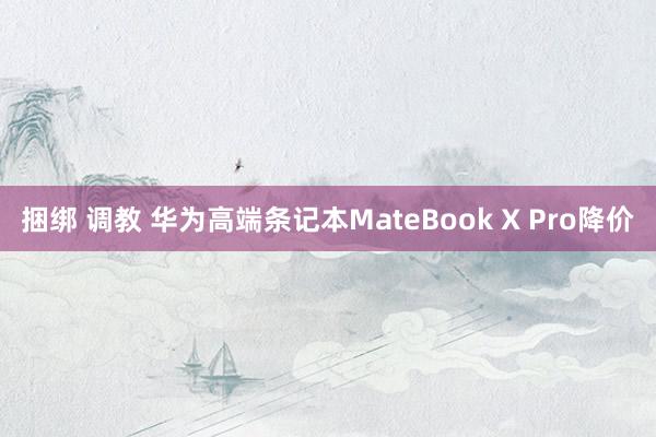 捆绑 调教 华为高端条记本MateBook X Pro降价