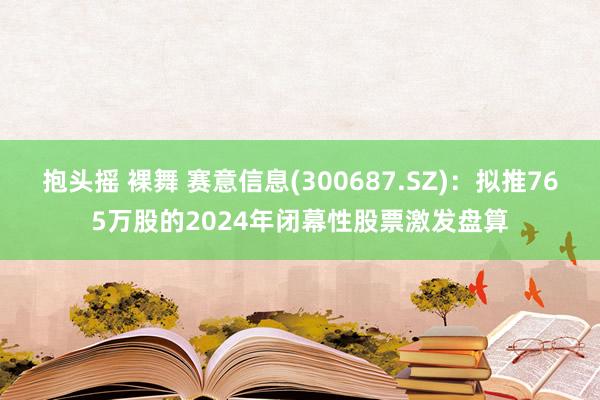 抱头摇 裸舞 赛意信息(300687.SZ)：拟推765万股的2024年闭幕性股票激发盘算