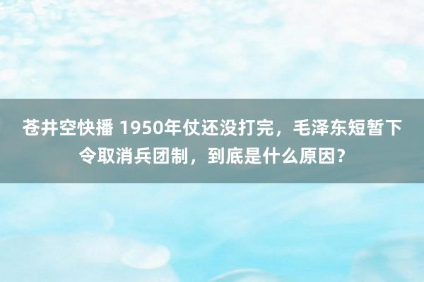 苍井空快播 1950年仗还没打完，毛泽东短暂下令取消兵团制，到底是什么原因？