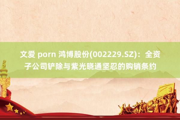 文爱 porn 鸿博股份(002229.SZ)：全资子公司铲除与紫光晓通坚忍的购销条约