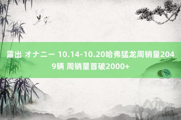 露出 オナニー 10.14-10.20哈弗猛龙周销量2049辆 周销量首破2000+