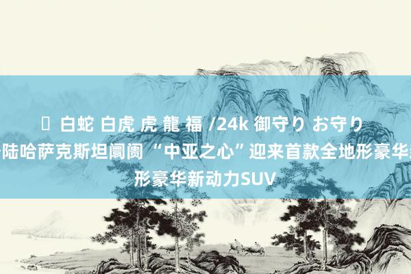 ✨白蛇 白虎 虎 龍 福 /24k 御守り お守り 极石汽车登陆哈萨克斯坦阛阓 “中亚之心”迎来首款全地形豪华新动力SUV