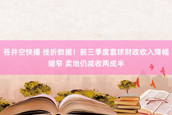 苍井空快播 挫折数据！前三季度寰球财政收入降幅缩窄 卖地仍减收两成半