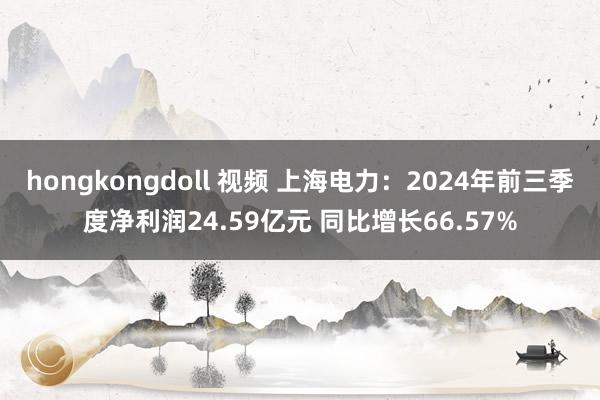 hongkongdoll 视频 上海电力：2024年前三季度净利润24.59亿元 同比增长66.57%