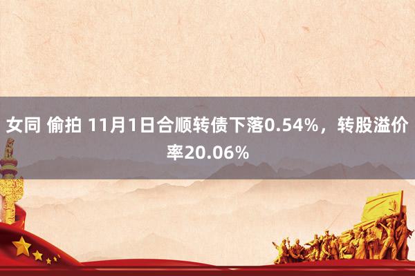 女同 偷拍 11月1日合顺转债下落0.54%，转股溢价率20.06%