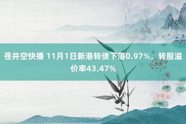 苍井空快播 11月1日新港转债下落0.97%，转股溢价率43.47%