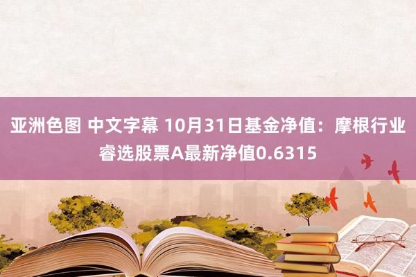 亚洲色图 中文字幕 10月31日基金净值：摩根行业睿选股票A最新净值0.6315