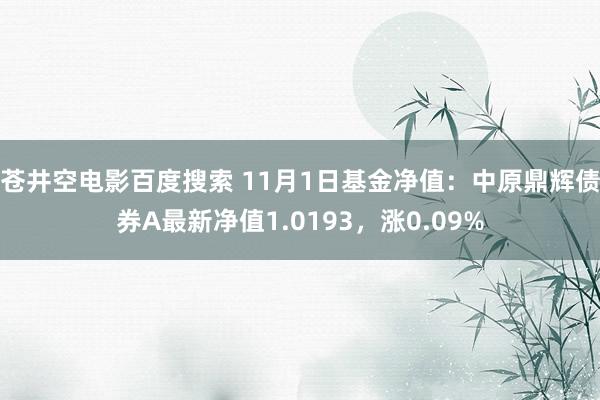 苍井空电影百度搜索 11月1日基金净值：中原鼎辉债券A最新净值1.0193，涨0.09%