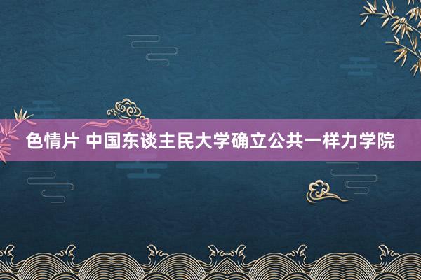 色情片 中国东谈主民大学确立公共一样力学院