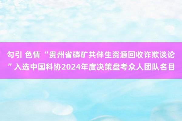 勾引 色情 “贵州省磷矿共伴生资源回收诈欺谈论”入选中国科协2024年度决策盘考众人团队名目