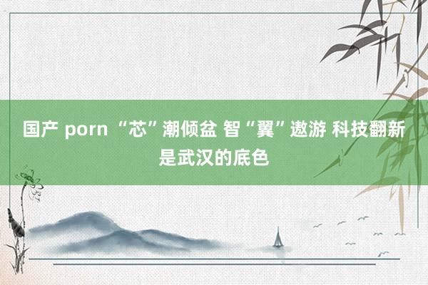 国产 porn “芯”潮倾盆 智“翼”遨游 科技翻新是武汉的底色