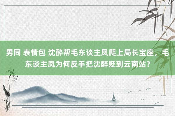 男同 表情包 沈醉帮毛东谈主凤爬上局长宝座，毛东谈主凤为何反手把沈醉贬到云南站？