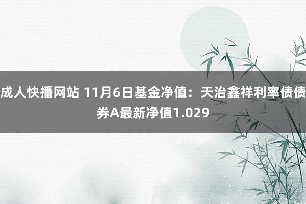 成人快播网站 11月6日基金净值：天治鑫祥利率债债券A最新净值1.029