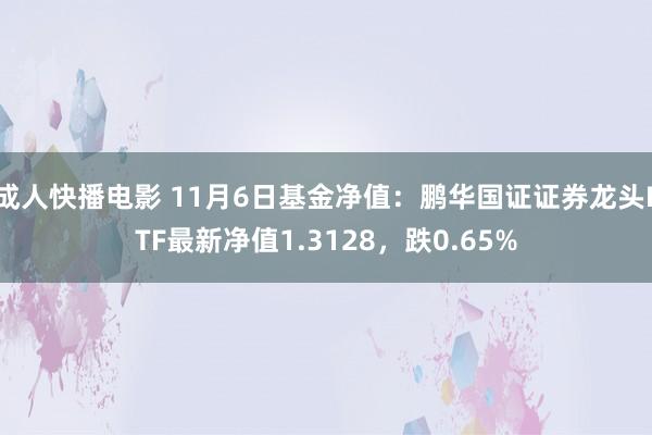 成人快播电影 11月6日基金净值：鹏华国证证券龙头ETF最新净值1.3128，跌0.65%