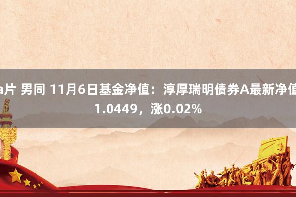 a片 男同 11月6日基金净值：淳厚瑞明债券A最新净值1.0449，涨0.02%