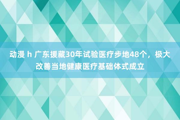 动漫 h 广东援藏30年试验医疗步地48个，极大改善当地健康医疗基础体式成立