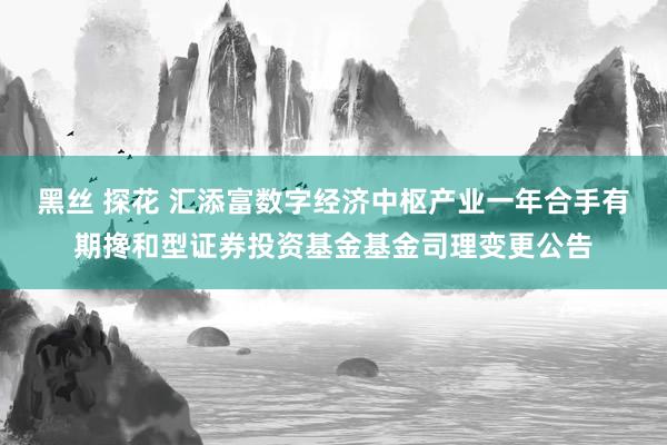 黑丝 探花 汇添富数字经济中枢产业一年合手有期搀和型证券投资基金基金司理变更公告