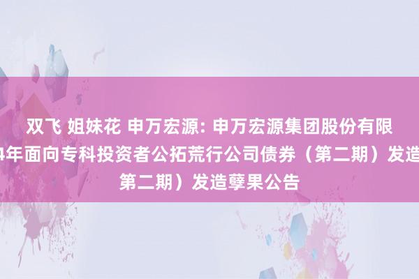 双飞 姐妹花 申万宏源: 申万宏源集团股份有限公司2024年面向专科投资者公拓荒行公司债券（第二期）发造孽果公告