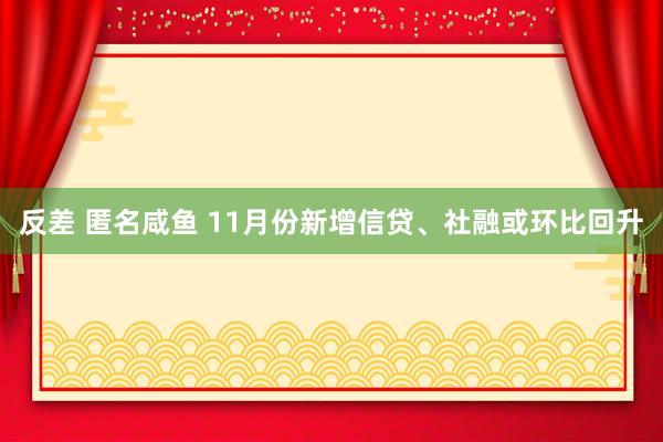 反差 匿名咸鱼 11月份新增信贷、社融或环比回升