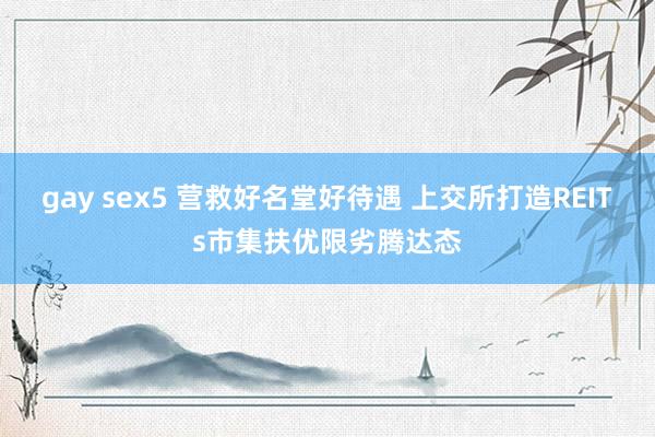 gay sex5 营救好名堂好待遇 上交所打造REITs市集扶优限劣腾达态