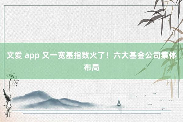 文爱 app 又一宽基指数火了！六大基金公司集体布局