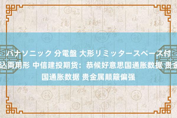 パナソニック 分電盤 大形リミッタースペース付 露出・半埋込両用形 中信建投期货：恭候好意思国通胀数据 贵金属颠簸偏强