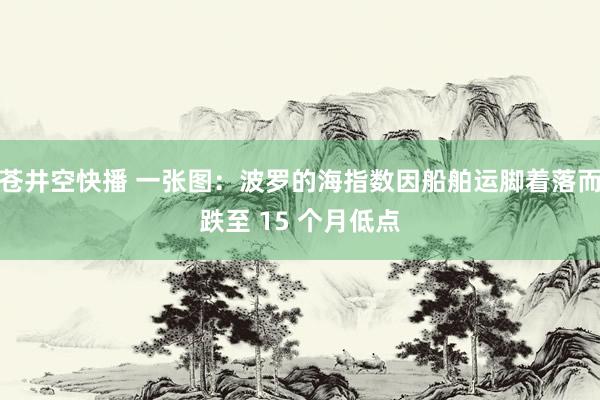 苍井空快播 一张图：波罗的海指数因船舶运脚着落而跌至 15 个月低点