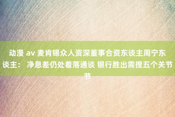 动漫 av 麦肯锡众人资深董事合资东谈主周宁东谈主： 净息差仍处着落通谈 银行胜出需捏五个关节