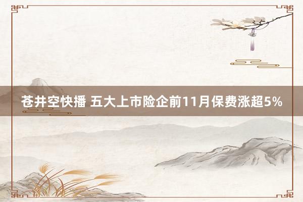 苍井空快播 五大上市险企前11月保费涨超5%