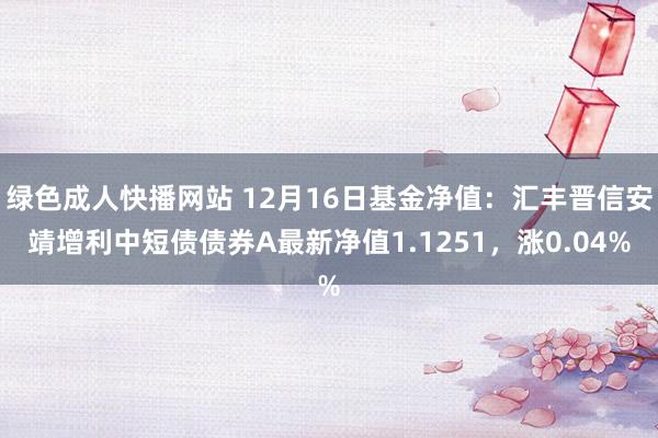 绿色成人快播网站 12月16日基金净值：汇丰晋信安靖增利中短债债券A最新净值1.1251，涨0.04%