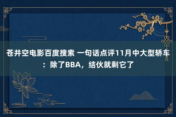 苍井空电影百度搜索 一句话点评11月中大型轿车：除了BBA，结伙就剩它了