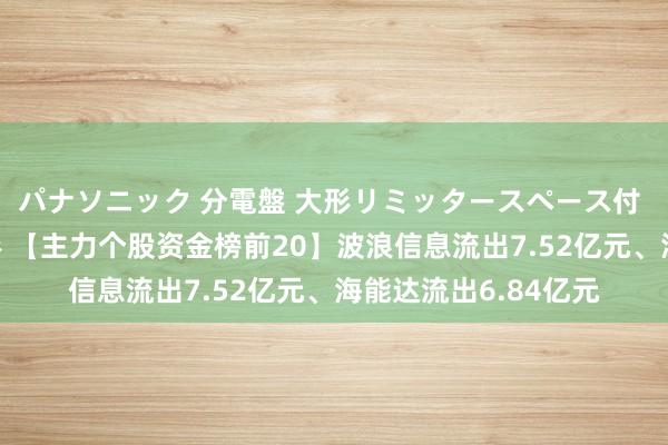 パナソニック 分電盤 大形リミッタースペース付 露出・半埋込両用形 【主力个股资金榜前20】波浪信息流出7.52亿元、海能达流出6.84亿元