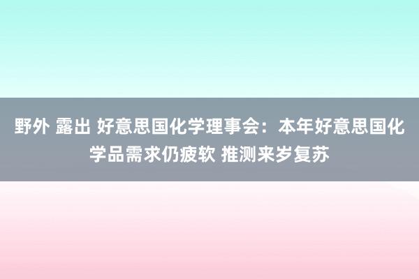 野外 露出 好意思国化学理事会：本年好意思国化学品需求仍疲软 推测来岁复苏