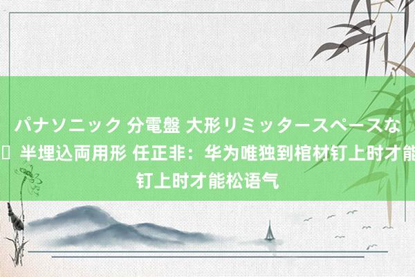 パナソニック 分電盤 大形リミッタースペースなし 露出・半埋込両用形 任正非：华为唯独到棺材钉上时才能松语气