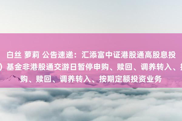 白丝 萝莉 公告速递：汇添富中证港股通高股息投资ETF聚合（LOF）基金非港股通交游日暂停申购、赎回、调养转入、按期定额投资业务