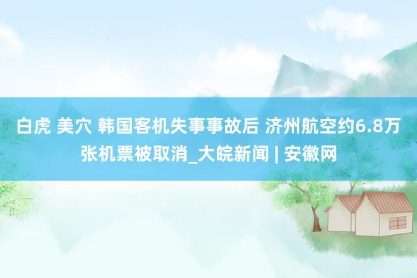 白虎 美穴 韩国客机失事事故后 济州航空约6.8万张机票被取消_大皖新闻 | 安徽网