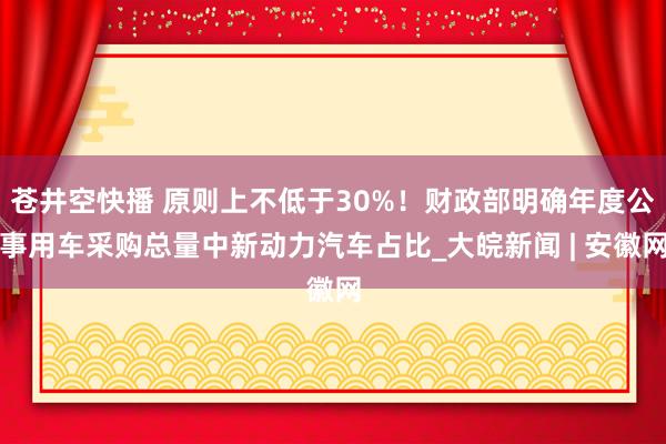 苍井空快播 原则上不低于30%！财政部明确年度公事用车采购总量中新动力汽车占比_大皖新闻 | 安徽网