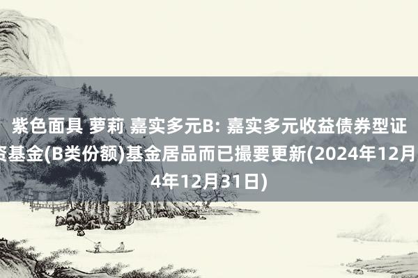 紫色面具 萝莉 嘉实多元B: 嘉实多元收益债券型证券投资基金(B类份额)基金居品而已撮要更新(2024年12月31日)