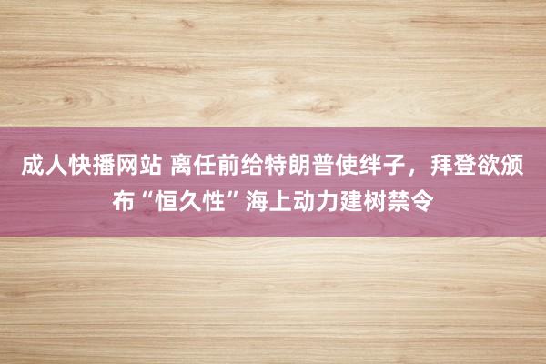 成人快播网站 离任前给特朗普使绊子，拜登欲颁布“恒久性”海上动力建树禁令