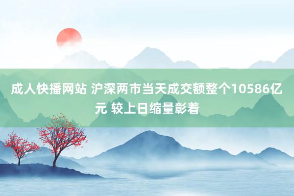 成人快播网站 沪深两市当天成交额整个10586亿元 较上日缩量彰着