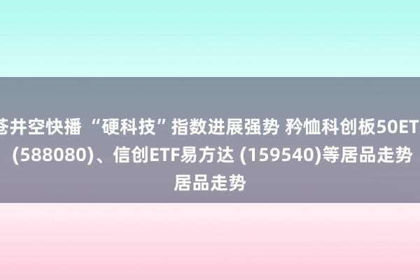 苍井空快播 “硬科技”指数进展强势 矜恤科创板50ETF (588080)、信创ETF易方达 (159540)等居品走势