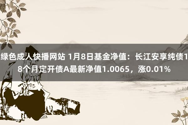 绿色成人快播网站 1月8日基金净值：长江安享纯债18个月定开债A最新净值1.0065，涨0.01%